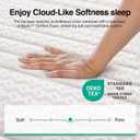 Novilla Twin Mattress, 6 Inch Twin Size Mattresses in a Box with Smarts Coil for Pressure Relief, Medium Plush Foam and Spring Hybrid Colchones with CertiPUR-US Certified for Kids