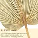 4 Pcs Natural Boho Large Dried Palm Leaves Fans with Stem,Tropical Palm Leaves Boho Wedding Decor for Vase Baby Shower Anniversary Home