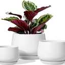 LE TAUCI Ceramic Plant Pots, 4.1+5.1+6.5 inch, Set of 3, Planters with Drainage Hole and Saucer, Indoor Flower Pot with Hole Mesh Pad, Gifts for Mom, White