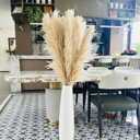 55" inch Scarcity Natural Pampas Grass Decor Tall, pompas Grass, Tall Pampas Grass for Wedding, Party, Farmhouse, Boho Home Decor