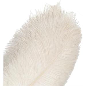 10Pcs Bulk Natural White Ostrich Feathers,12-14 inch (30-35cm) Beautiful Long Feather for Crafts,Wedding Centerpieces Party Home Decoration,Dress and Christmas DIY (White, 12-14in)