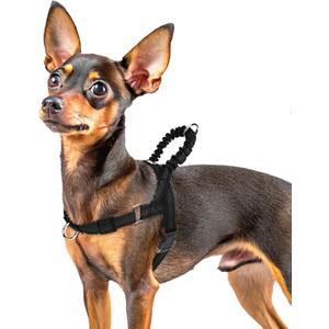 PUPTECK No Pull Dog Harness Small Sized Dog, Adjustable Reflective Pet Vest Harness with Bungee Handle, Escape Proof No Choke Harness for Small Dogs Walking Training, Black, Size XS 
