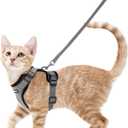 rabbitgoo Cat Harness and Leash for Walking, Escape Proof Soft Adjustable Vest Harnesses for Cats, Easy Control Breathable Reflective Strips Jacket, Grey, S