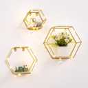 Ideal Swan Hexagon Floating Shelves Wall Decor with LED Lights, Gold Shelves Display Shelf for Wall Decor, Modern Metal Shelf for Bedroom Living Room Kitchen Bathroom
