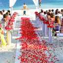 2 x CO-RODE 1200pcs Wedding Decoration Silk Dark Red and Burgundy Rose Petals, Artificial Flowers(Burgundy)