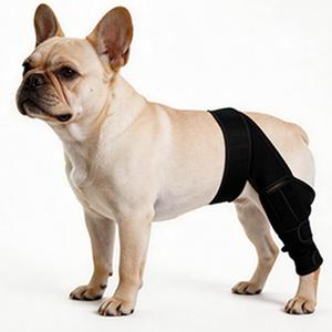 Dog Knee Brace for Leg, Adjustable Dog Braces for Torn ACL Support, Built in Side Stabilizers, Breathable Dogs Hip Brace for Arthritis Relief, Joint Stability and Post Surgery Recovery