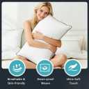 Goose Down Pillows Standard Size Set of 2 with 100% Organic Cotton Cover, Luxury Hotel Bed Pillows for Sleeping, 3-Chamber Design Medium Support for Side & Back Sleepers, 20x26 Inch