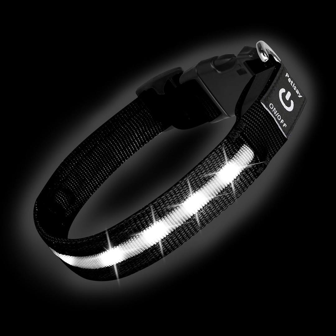 PetIsay Light up Dog Collar - High Visibility & Durable Nylon Material - USB C Rechargeable & Waterproof LED Dog Collar for Night Walking,Lighted Dog Collars Glow in The Dark Flashing(White,XL)