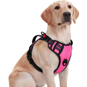 rabbitgoo Dog Harness Medium Sized, No Pull Pet Harness with Soft Padded Handle, Adjustable Reflective Vest with 3 Buckles, Easy Walking Harness with 2 Leash Clips, Pink, Medium