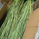 4 Pack 4 ft Tall Artificial Grass Plant Fake Pampas Grass in Pot Large Faux Floor Plants Potted Artificial Greenery for Indoor Outdoor Garden Home Bathroom Office Room Housewarming Wedding Decoration