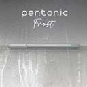 Pentonic Ballpoint Pens, 10 Count, Frosted Pale Gray Barrel with Black Ink, 0.7 mm Fine Point, Smooth Writing For Journaling & Note Taking (PEN13086) (Grey)