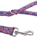 ARING PET American Flag Dog Leash, Cute Patriotic Dog Leashes Matching Dog Collars, Cotton Handmade 4th of July Walking Dog Leash for Small Medium Large Dogs and Cats (Small (Pack of 1))