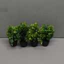 4 Packs Fake Plants Small Potted Plants, 7" Mini Artificial Faux Plants, Eucaplytus Rosemary Plants for Home Office Desk Room Decor