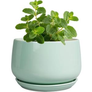 G EPGardening Ceramic Plants Pots - 4 inch Plant Pots Indoor Outdoor, Small Succulent Planter with Drainage Hole & Tray, Modern Flower Pot, Round Decorative Planters, Office Decor, Garden Gift, Green