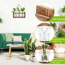 Glass Plant Propagation Station Butterfly Planter Vase with Wooden Stand Birthday Gifts for Women Mom Plant Lovers Office Home Decoration