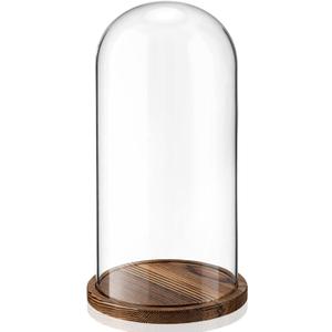 AceOrbit 16 Inch Glass Dome Cloche Display with Wood Base, Clear Tall Glass Dome, the Bell Jar Clear Cloche for Plants, Curios, Keepsakes, Heirlooms (8.66''16'')