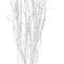 Balsa Circle 6 pcs White 46-inch Extra Long Decorative Birch Tree Branches Vase Fillers Rustic Dried Twigs Sticks Party Wedding Bouquets Centerpieces Supplies