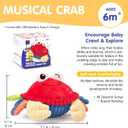 hahaland Baby Toys 6-12 Months - Bouncing Singing Crab Crawling Dancing Jumping Crab Baby Boy Girl Gift for 6 7 8 9 10 11 12 18 Month Musical Tummy Time Sensory Toddler Toys 1 Year Old Birthday Gift
