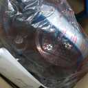 Eureka NEU10AE5 Powerful Bagless Upright Vacuum Cleaner Carpet and Floor, AirSpeed Ultra-Lightweight Vacuum Cleaner, w/ Replacement Filter, Blue