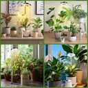 6 Pack Telescopic Grow Lights for Indoor Plants - 48 LED Full Spectrum Grow Lights for Indoor Plants, Height Adjustable Small Halo Grow Light with Base, 3 Selectable Light Sources