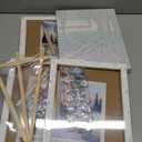 Paint By Numbers 4 Pack