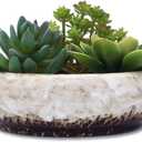 VanEnjoy 7.3 inch Round Large Shallow Succulent Ceramic Glazed Planter Pots with Drainage Hole, Bonsai Pots Garden Decorative Cactus Stand Flower Container (White)