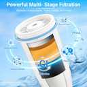 Water Filter Replacement Compatible with Zero Pitcher and Dispenser ZR-001 ZR-017 ZR-004 ZP-006 ZD-013 ZS-008, Multi-Stage Filter System, Reduce Lead, Chromium, and PFOA/PFOS, Pack of 6, By DESENRUIS