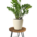 Plant Stand Indoor Outdoor Wood Mid Century Plant Stand for Indoor Plants, Modern Plant Table Round Plant Stool, Boho Rustic Wooden Stool for Plant Pot Hol (L)