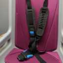 Thule Children's RideAlong Bike Seat, Purple, One Size