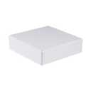 12" x 12" x 3" PVC Plastic Dustproof Waterproof Box IP65 Junction Boxes Project Junction Conduit Box for Electrical Outdoor Enclosure