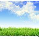 Leyiyi 6x4ft Spring Grassland Photography Background Gardening Plant Meadow Sky Cloud Light Spot North Prairie Backdrop Nature View Outdoor Activity Kids Birthday Photo Portrait Vinyl Studio Prop