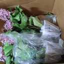 2 Set Artificial Hydrangea Flowers Outdoor 26" Large Faux Hydrangeas Flowers with UV Resistant Design Pot Hydrangea Artificial Flowers Tree for Front Porch Garden Yard Patio Decor (Pink)
