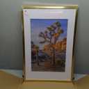 Art Emotion Gold 16x24 Picture Frame – Displays 12x18 Photos with Mat or 16x24 Without Mat, Wall Hanging Photo Frame, 1-Pack