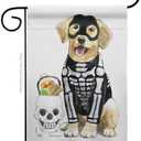 Spooky Skeleton Lab Garden Flag - Fall Halloween Witch Trick or Treat Night Black Cat Season Autumntime Pumpkin - House Decoration Banner Small Yard Gift Double-Sided Made In USA 13 X 18.5
