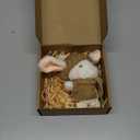 Mini Bunny Hug Cute Easter Gift Plush 2025 Bunny in a Box Hugs Positive Bunny Stuffed Animal Rabbit Soft Floppy Easter Ideas Bunnies Basket Stuffers Doll Emotional Support Inspirational Gifts 