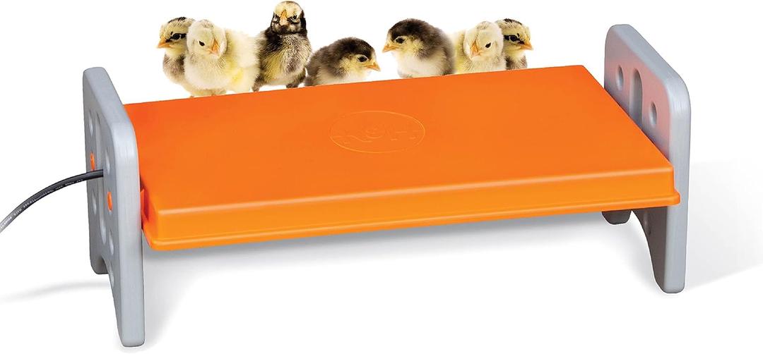 K&H Pet Products Chicken Brooder Heater for Chicks Ducklings, Adjustable Heating Plate for Brooder Boxes, Warms up to 30 Chicks, Chicken Coop Poultry Heating with Safety Light, Large 40 Watts