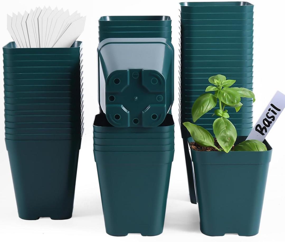 June Fox Plastic Seedling Pots, 60 Pack Square Nursery Pots 4 Inch, Small Plant Pots with Drainage Holes for Seedlings, Succulents, Cuttings (Green)