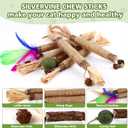 Catnip Chew Toys for Cats, 24 Pack Cat Toys with Silvervine Sticks, Natural Silvervine Stick Cage Balls & Bell Balls for Indoor Cats