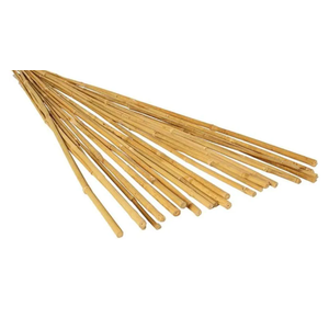 Hydrofarm HGBB4 4' Natural, Pack of 25 Bamboo Stake, 4 Foot, Tan