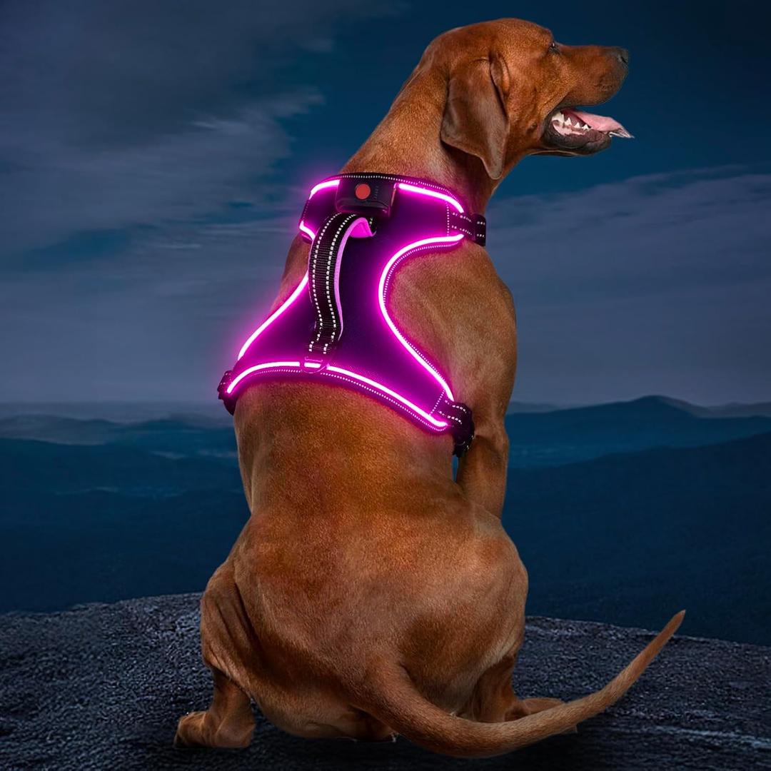 Light Up Dog Harness, No Pull LED Dog Harness with Handle, Rechargeable Lighted Safety Vest for Small Medium Large Dogs, Adjustable Soft Dog Lights for Night Walking (Purple-Pink)