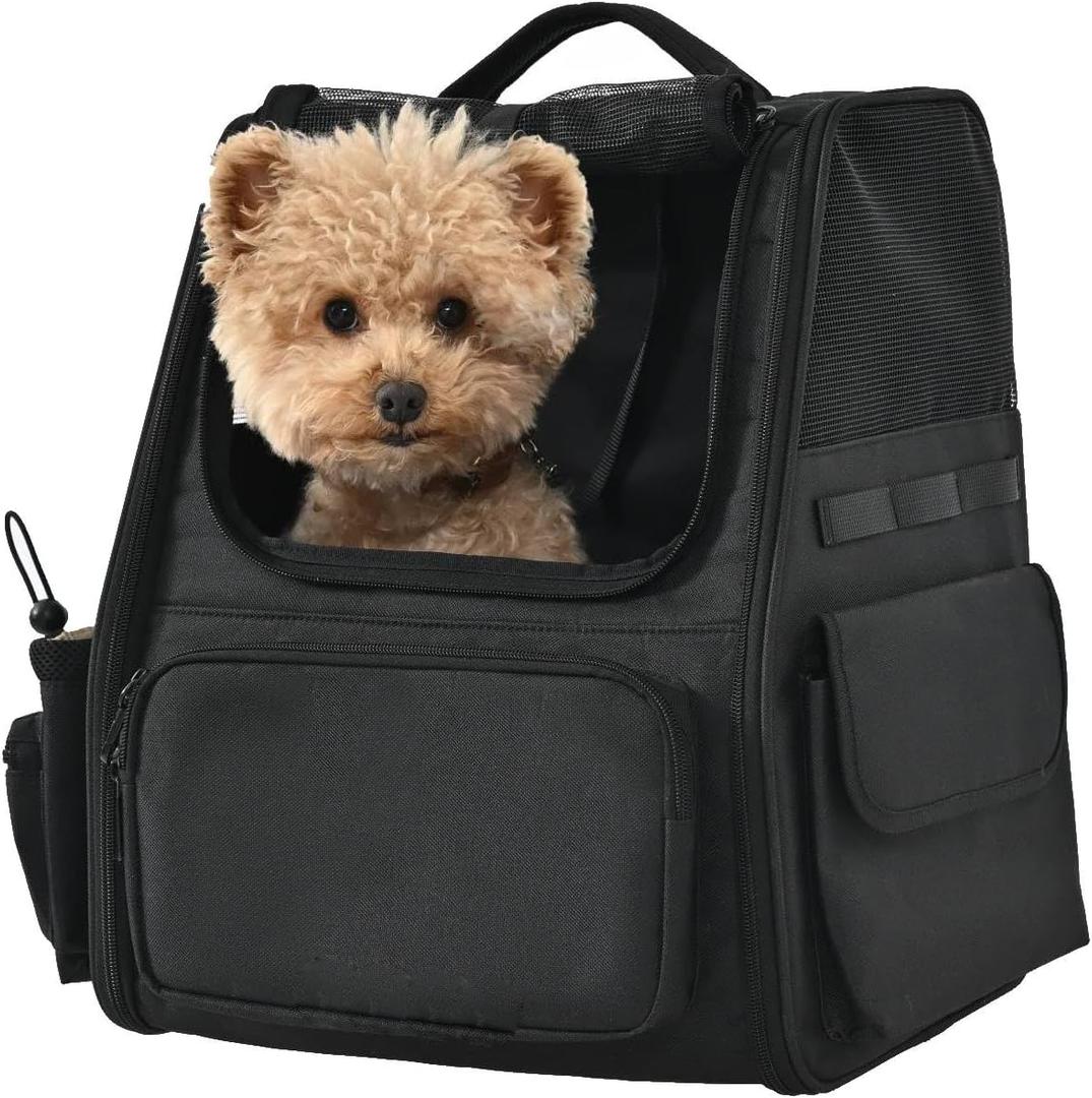 Amazon Basics Pet Backpack for Cats & Small Dogs, Collapsible Travel Carrier with Ventilated Mesh, Removable Pad, and Safety Leash, Black