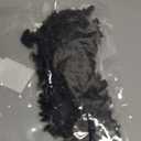 WHXGQ 200 Pcs Plastic Bats Spiders Halloween Mini Bats and Fake Spiders for Decorations Creepy Scary Prank Toys Plastic Insec Toys Halloween Miniatures