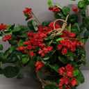 Nearly Natural 24in Artificial Geranium Hanging Basket Faux Floral Plant for Indoor Home Porch Decor, Red