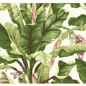 York Wallcoverings Tropics Banana Leaf Removable Wallpaper, White, Light Yellow Dark Green, Brown (Pearl/Brights)