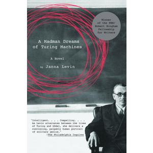 A Madman Dreams of Turing Machines