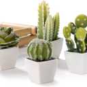 Artificial Mini Succulent & Cactus Plants in White Cube-Shaped Pots for Home Decor, Set of 4