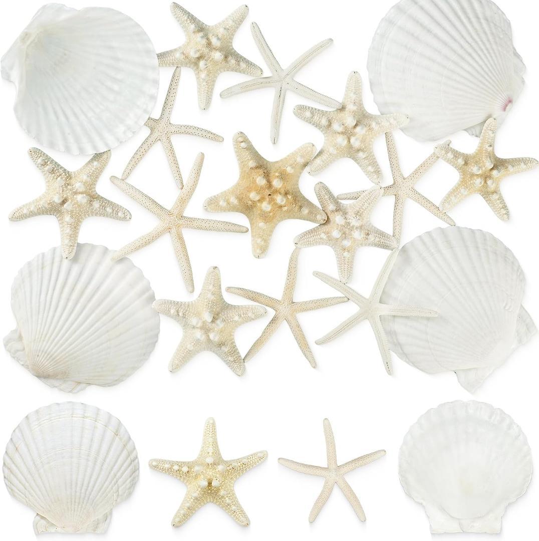 peony man 16 Pcs Natural Scallop Shells and Starfish 5 Inch White Sea Shell for Crafts and 3.5-4 Inch Beach Starfish for Beach Theme Wedding Party Home Decorations Fish Tank Vase Filler DIY Crafts