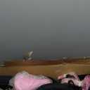 KEANO Cervine 14 16 20 Inch Kids Bike for Boys Girls Ages 3-10 Years, 14 16 Inch Toddler BMX Bikes with Training Wheels and Basket, 20 in Children Bicycles with Kickstand (Pink)