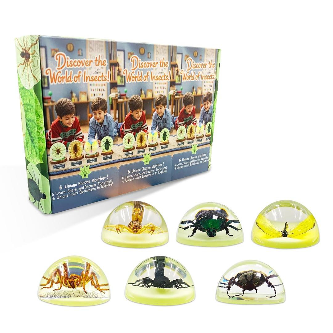 6 Insect Specimens,Real Specimens of Various Butterflies and Beetles Made of Resin, Resin Taxidermy for Science Classroom Specimens Education, Great Gift for Taxidermy (1, 4.7 inch)