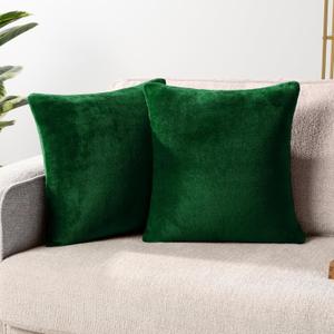 PAVILIA Emerald Green Throw Pillow Covers 20x20 Set of 2, Decorative Pillow Cases for Bed Sofa Couch, Boho Aesthetic Accent Decor Cushion Bedroom Living Room, Velvet Square Euro Sham Cover, Dark Green
